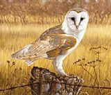Unknown owl painting